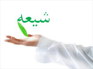Shi and progressive article